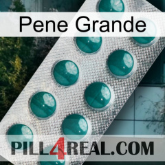 Big Penis dapoxetine1